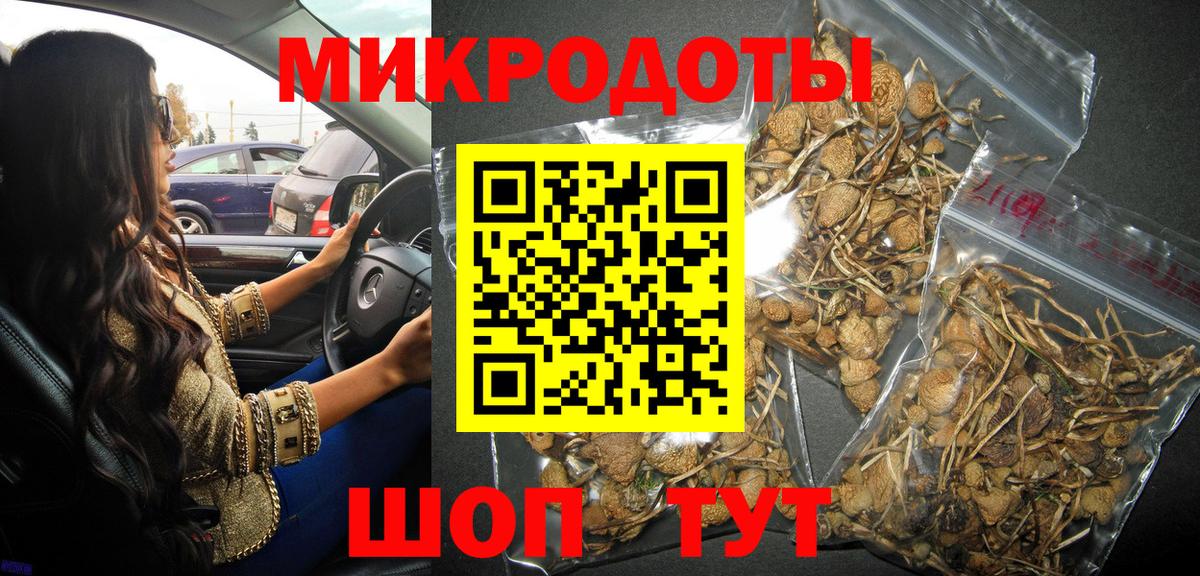 Галлюциногенные грибы GOLDEN TEACHER  купить закладку  Галлюциногенные грибы GOLDEN TEACHER  Благодарный  Вход с VPN 