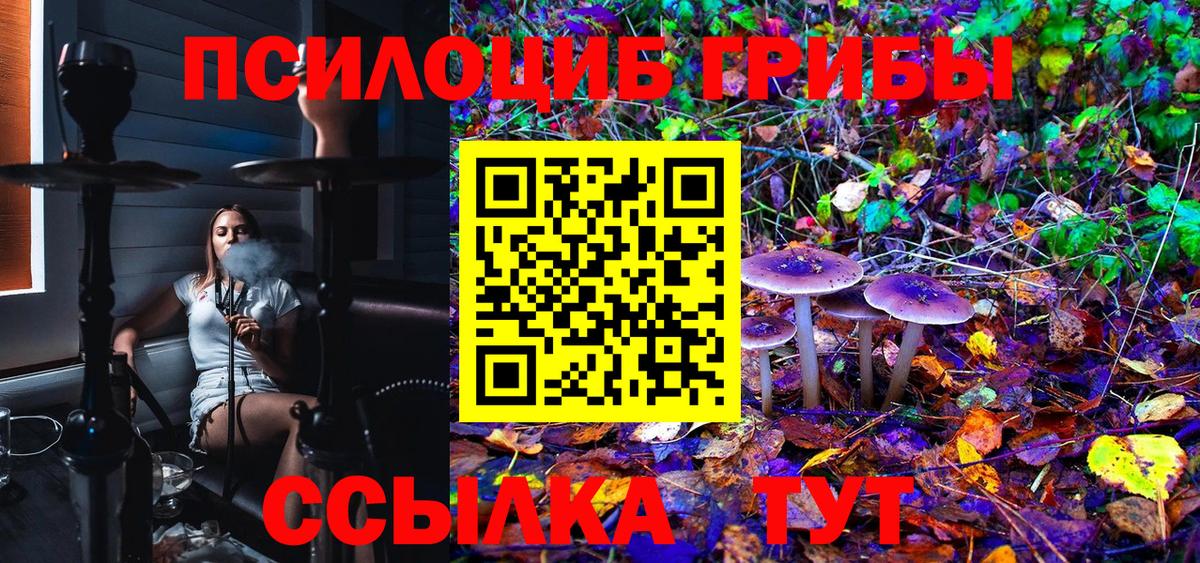 Псилоцибиновые грибы Psilocybe Благодарный